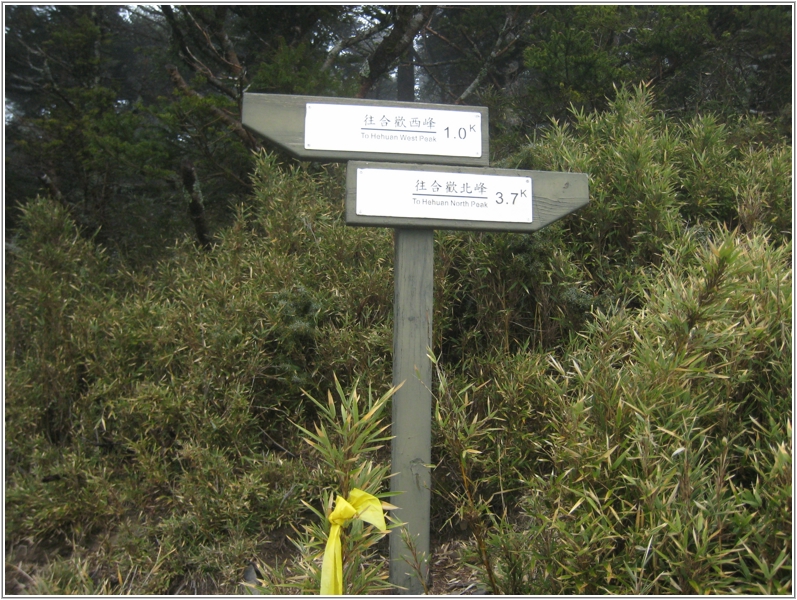 2011-05-01 14-05-16回程往北峰.JPG